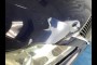 lowest CALL in 2010 LEXUS IS IS 250 6-SPEED SEQUENTIAL