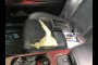GS for sale 2006 LEXUS GS GS 300