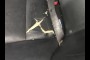 GS for sale 2006 LEXUS GS GS 300