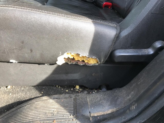 2011 FORD FLEX LIMITED FWD