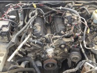 Condition Image