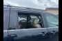2007 HONDA ODYSSEY EX-L W/ DVD 