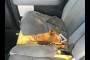 buy new F-150 in 2013 FORD F-150 XLT SUPERCREW 6.5-FT. BED 4WD