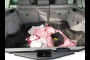 2008 BMW X5 3.0SI 