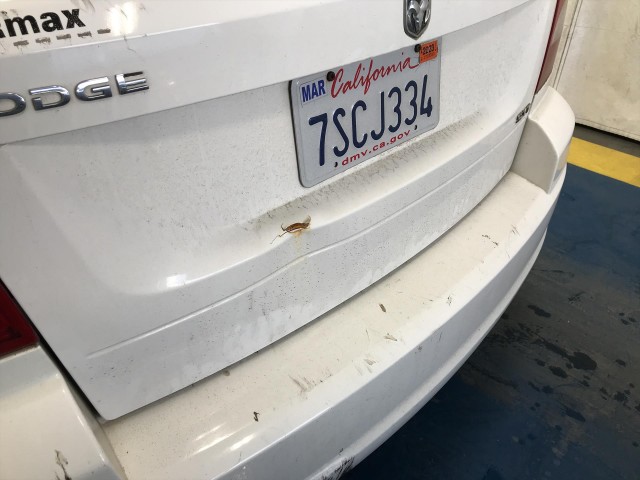 2010 DODGE CALIBER EXPRESS
