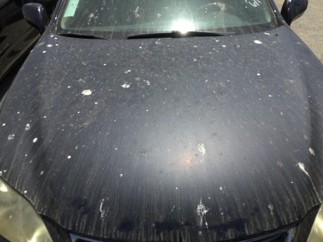 2007 LEXUS ES 350 SEDAN