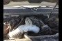 2007 CHEVROLET TAHOE LTZ 2WD 