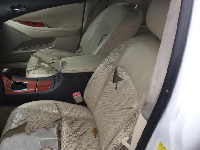 2010 LEXUS ES 350 SEDAN