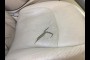 used LEXUS ES 350 2010 LEXUS ES 350 SEDAN