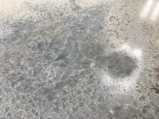 2007 GMC YUKON DENALI AWD