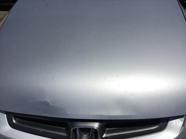 2004 HONDA ACCORD LX SEDAN