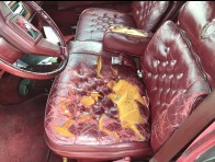 Condition Image