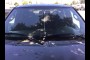 2005 FORD F-150 XLT SUPERCREW 2WD 